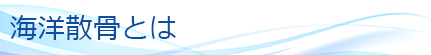 海洋散骨とは